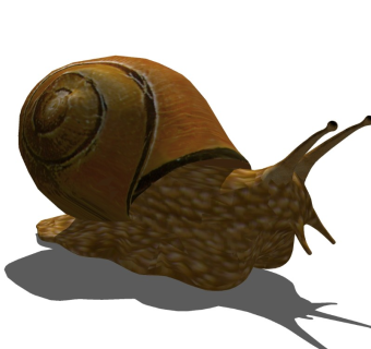 精品动物模型 (37)蜗牛